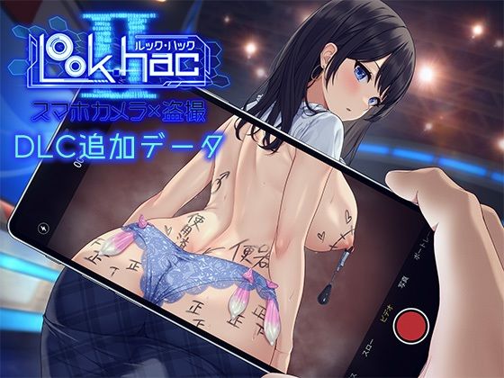 LOOK.hacII -ルック・ハックII-【Hシーン全解放DLC】【3DCG】同人レビュー