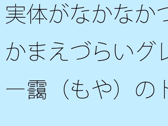実体がなかなかつかまえづらいグレー靄（もや）のトンネルの中を 細微が問題になる【サマールンルン】無料エロ漫画