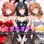 キセカエオナペット -やはり俺の◯春ラブコメはまちがっている篇-【愛玩ファクトリー】