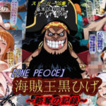 【ONE PI〇CE】海賊王黒ひげ〜略奪の記録〜【魔術師プロトン2D】