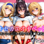 キセカエオナペット -インフィニ◯ト・ストラトス篇 その2-【愛玩ファクトリー】