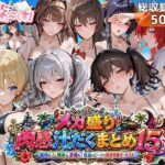 メガ盛り肉感汁だくまとめ15〜艦隊も戦車も悪魔も！真夏のビーチで限界突破オールスター〜【むらた屋】